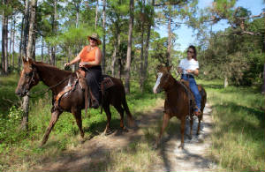 Riding the Seminole Ridge. 